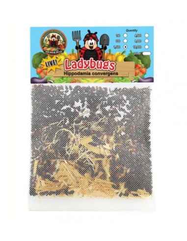 500 Ct. Live lady bugs - For sale online - ONLY IN MEXICO -