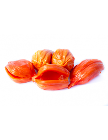 ''Dang suri'' Red Jack fruit tree  (Artocarpus heterophyllus) GRAFTED - order online