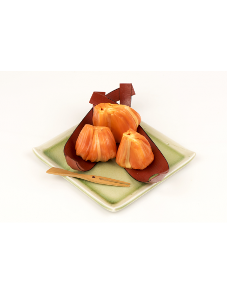 ''Dang suri'' Red Jack fruit tree  (Artocarpus heterophyllus) GRAFTED - order online