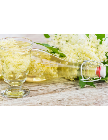 Johns elderberry (Sambucus canadensis) BUY HERE...