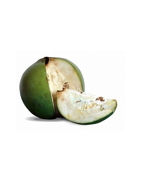 Arbol de Borojo patinoi 'Eden' ( Borojoa patinoi)- 1 Arbolito en Venta en Mexico - Vivero por internet