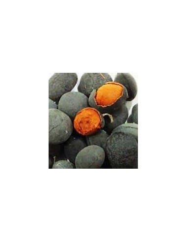 Tamarindo terciopelo de tailandia (Dialium...