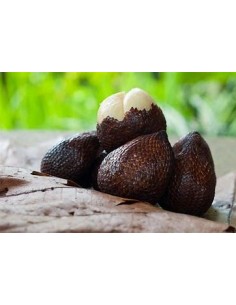 Salak palm -Snake fruit... 2