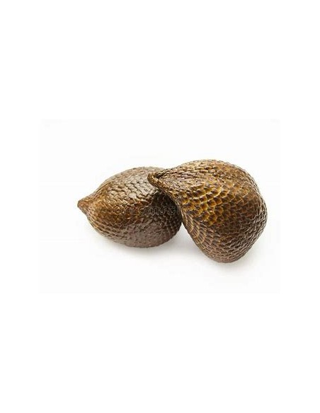 Palmera de salak -Snake fruit (Salacca zalacca )-1 Arbolito en Venta en Mexico - Vivero por internet