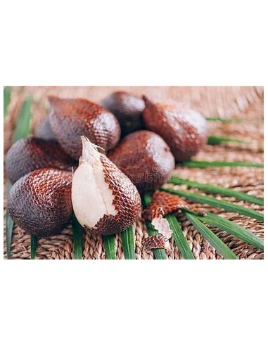 Palmera de salak -Snake fruit (Salacca zalacca...