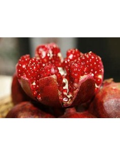 GRANADA DIAMANTE (ROJA -... 2