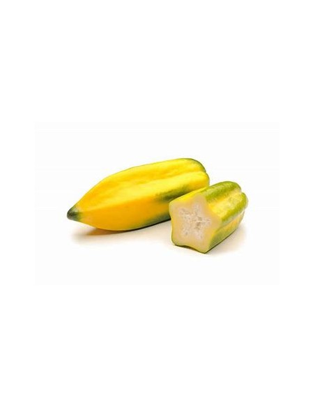 BABACO - PAPAYA DE MONTAÑA EN MEXICO- 1 Arbolito en Venta en Mexico - Vivero por internet