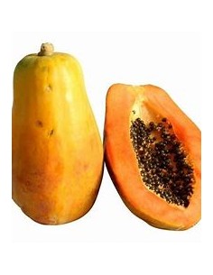 PAPAYA MARADOL- 1 Tree for...