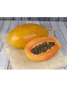 PAPAYA MARADOL- 1 Arbolito... 2