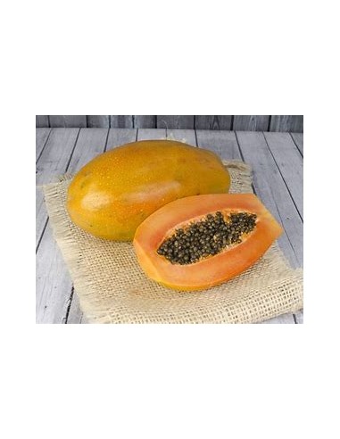 PAPAYA MARADOL- 1 Arbolito en Venta en Mexico -...