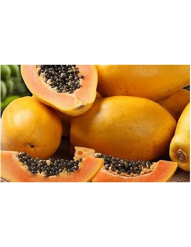 PAPAYA MARADOL- 1 Arbolito en Venta en Mexico -...