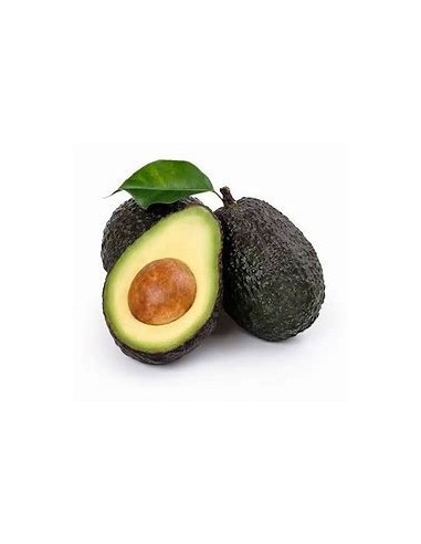AGUACATE HASS MENDEZ PARA CALOR - 1 Arbolito en...