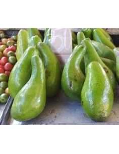 AVOCADO BOOT 1 - 1 Tree for...