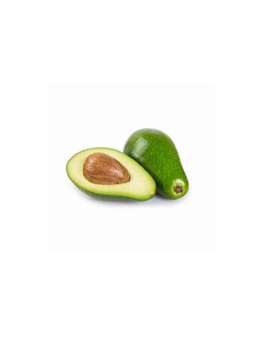 AGUACATE PIEL DE PAPEL - 1 Arbolito en Venta en Mexico - Vivero por internet