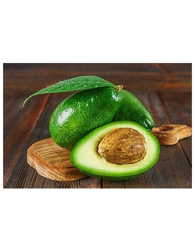 AGUACATE PIEL DE PAPEL - 1 Arbolito en Venta en...