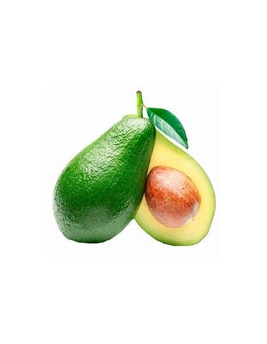 AGUACATE PIEL DE PAPEL - 1 Arbolito en Venta en...