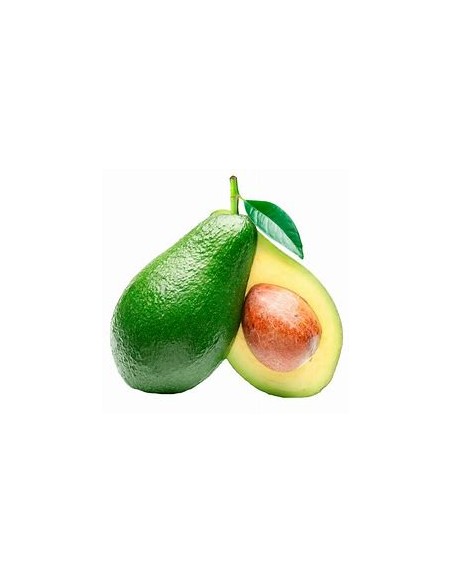 AGUACATE PIEL DE PAPEL - 1 Arbolito en Venta en Mexico - Vivero por internet