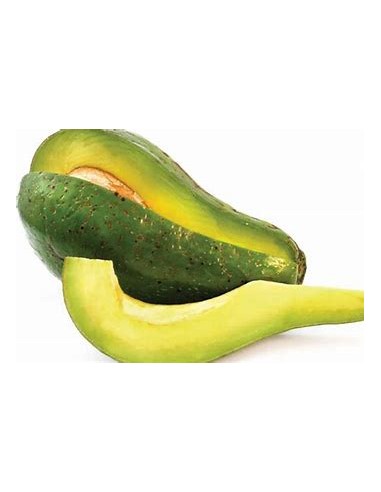 AGUACATE PAHUA - 1 Arbolito en Venta en Mexico...