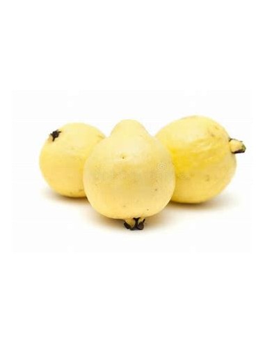 guayaba del peru - fruto amarillo - 1 Arbolito...
