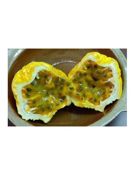 Yellow passion fruit (Passiflora edulis) - 1 Sapling for Sale in Mexico - Online Nursery