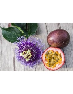 maracuya morado (passiflora... 2