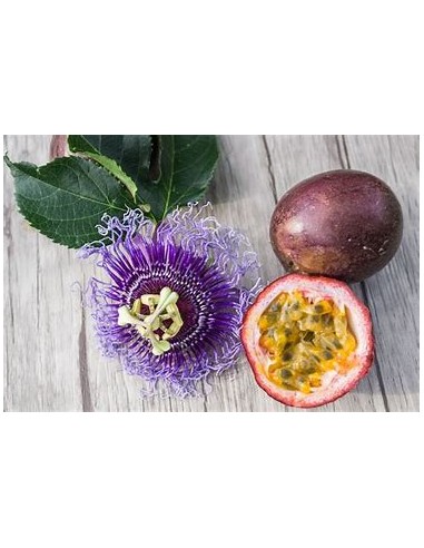 maracuya morado (passiflora edulis flavicarpa)...