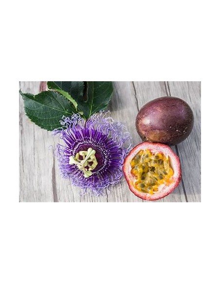 maracuya morado  (passiflora edulis flavicarpa) - 1 Arbolito en Venta en Mexico - Vivero por internet