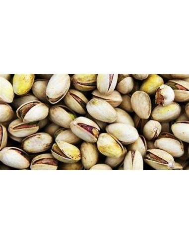 PISTACHO COMESTIBLE (PISTACIA SP.)-1 Arbolito...