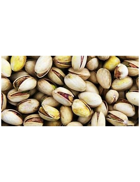 PISTACHO COMESTIBLE (PISTACIA SP.)-1 Arbolito en Venta en Mexico - Vivero por internet