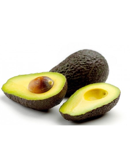 1 Hass avocado (Persea americana) Live grafted  tree 1 Hass avocado (Persea americana) Live grafted  tree