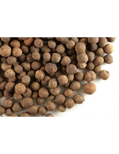 1 Arbolito de Pimienta Negra (Pimienta dioica) Venta de plantas exoticas Mexicanas - Pimienta dulce, guayabito para sembrar