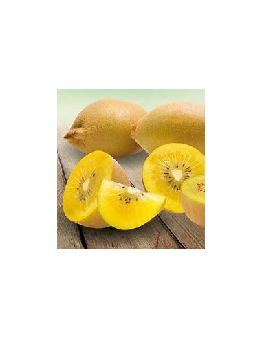 40 SEEDS OF KIWI "GOLDEN" (ACTINIDIA ) GOLDEN...