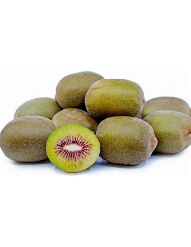 40 SEMILLAS DE KIWI "ROJO" KIWIS COMO SEMBRAR EN MEXICO