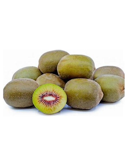 40 "RED" KIWI SEEDS KIWIFRUIT HOW TO PLANT IN MEXICO
