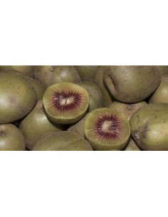 40 SEMILLAS DE KIWI "ROJO"... 2