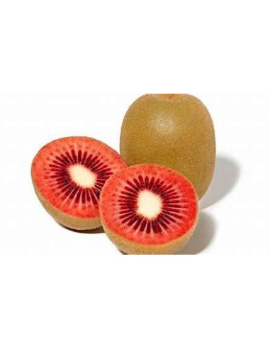 40 "RED" KIWI SEEDS KIWIFRUIT HOW TO PLANT IN...