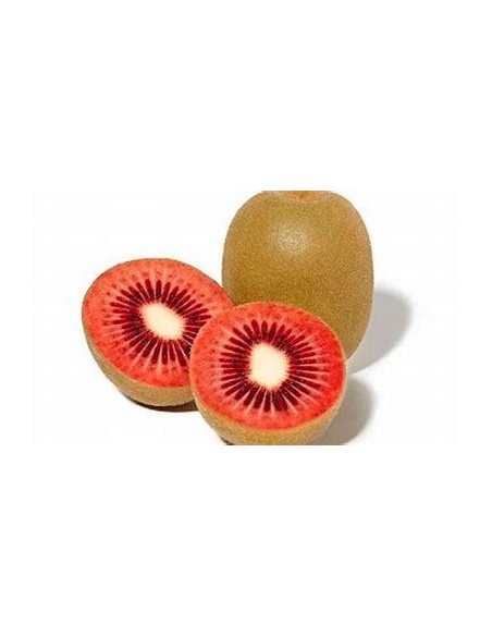 40 "RED" KIWI SEEDS KIWIFRUIT HOW TO PLANT IN MEXICO