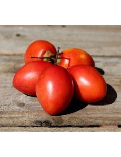 30 SEEDS OF RED TAMARILLO...