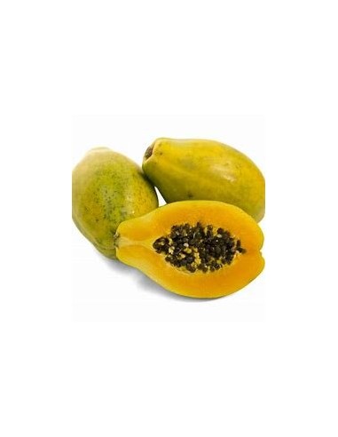 200 SEMILLA DE PAPAYA HAWAIANA AMARILLA FORMA DE PERA (CARICA PAPAYA HAWAII) SEMBRADAS EN MEXICO - ORGANICAS SIN TRANSGENICOS