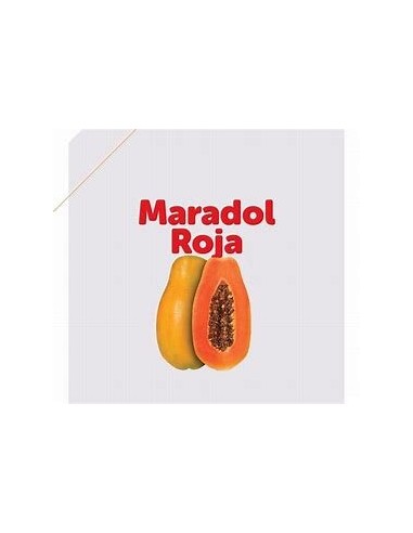 50 SEEDS OF PAPAYA MARADOL "CUBANA" F1 RED CERTIFIED BY INIFAP (CARICA PAPAYA) SHIPMENTS TO ALL MEXICO