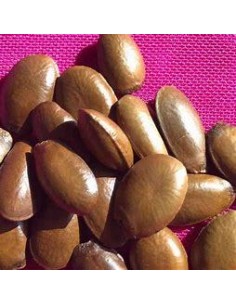 30 SEMILLAS DE GUANABANA...