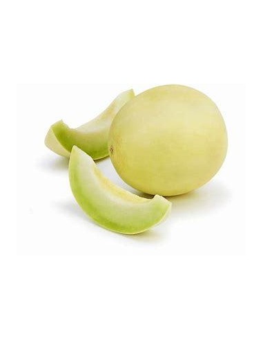 30 SEMILLAS DE MELON CHINO HONEY DEW ORGANICO PARA CLIMA TROPICAL