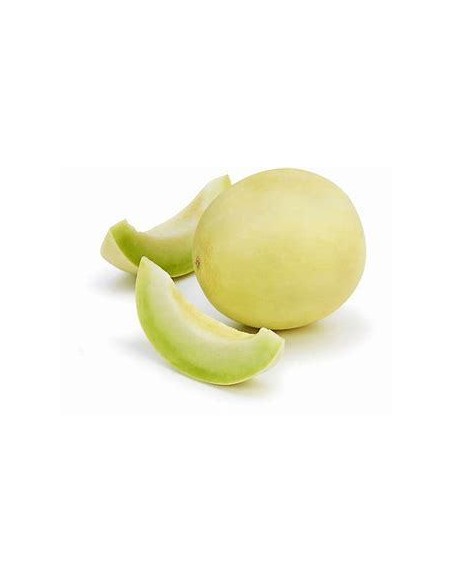 30 SEMILLAS DE MELON CHINO HONEY DEW ORGANICO PARA CLIMA TROPICAL