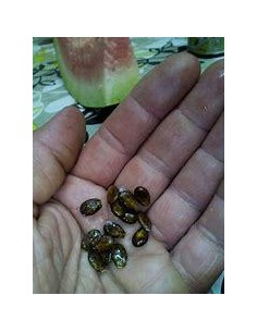 30 SEEDS OF WATERMELON...