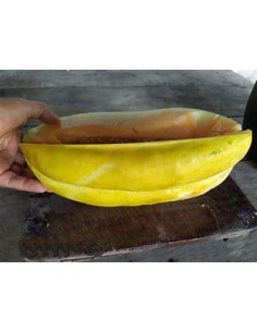 30 SEMILLAS DE MELON... 2
