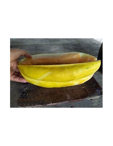 30 SEEDS OF VERACRUZ CRIOLLO MELON (CUCUMIS SP)...