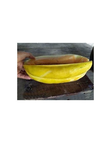 30 SEEDS OF VERACRUZ CRIOLLO MELON (CUCUMIS SP) ENDEMIC RIB MELON AND HEIRLOOM MELON