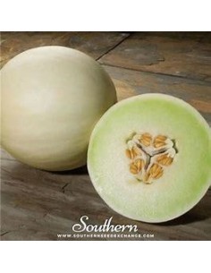 30 SEMILLAS DE MELON GREEN...
