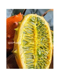 20 Seeds of Kiwano (Cucumis...