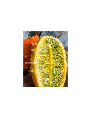 20 Seeds of Kiwano (Cucumis metuliferus) - African Fruit with Melon Picos